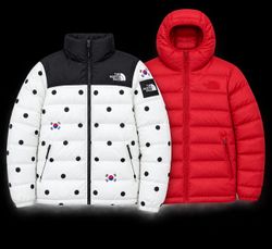 The North Face Puffer