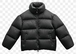 The North Face Puffers 700/800 Fill 19pcs Bundle