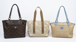 Coach Bags -Check Grading