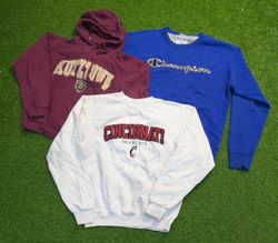 8354-Champion and unbranded hoodies or Sweater