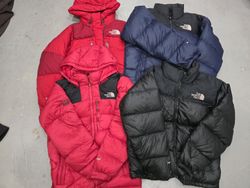The North Face Puffer Jackets 700(Baltro+Nuptse)