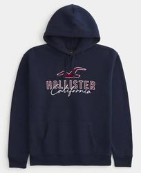 Hollister Hoodies - D009