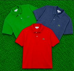 Premium lacoste T-Shirts