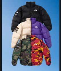 The north face puffer jacket