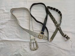 CR12550 Y2K Belts