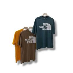 The north face vintage t shirt (175)