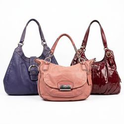 Coach Bags -Check Grading