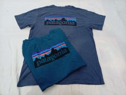 CR12731 Vintage Patagonia T-Shirts