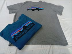 CR10881 Vintage Patagonia T-Shirts