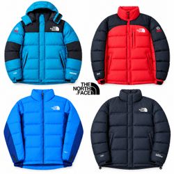 The North face puffer (series) 550,700,800,900