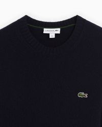 premium Lacoste sweater