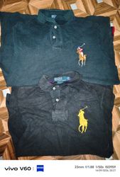 Ralph Lauren big pony e rugby
