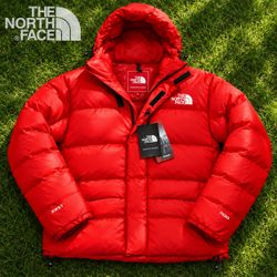 The North Face Puffer Jackets and Vests