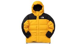 The North Face Puffer Jackets