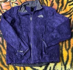 The north face fleece