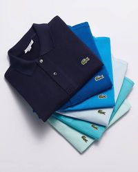 Lacoste Polo Tshirts