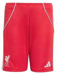 Football Shorts
