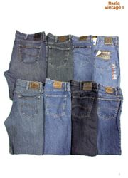 RV4900 Lee Zipper Jeans