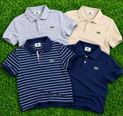 Premium Lacoste t-shirt