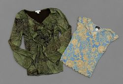 Y2k Blouse (1500)