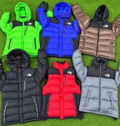 TNF Puffers