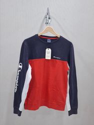 Champion Hoodies and Sweatshirts Lot