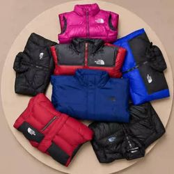 The North Face Puffer Jackets