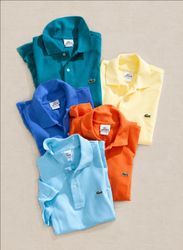 Lacoste Polo Tshirts