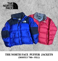 The North Face Puffer Down Jackets