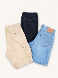 Levi's Shorts [TD-525]