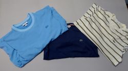 Lacoste T-Shirts – Grade A/B – 13 Pcs | 09-132