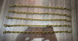 Coach Brass Dog Leash (NWOT)