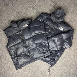 The North Face Puffer 700 series (CV:256)