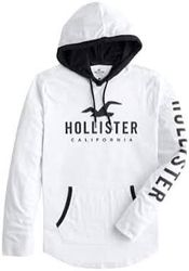 Hollister Hoodies - D008