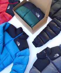The north face puffer jacket