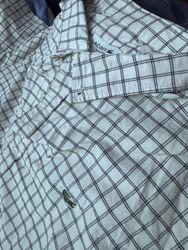 Mens lacoste cotton shirts