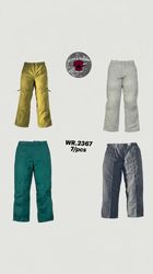 Dickies pants WR-2367