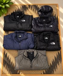 The North Face Puffer Jackets and Vest