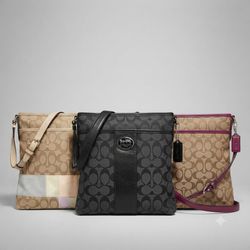 Coach bags check grading