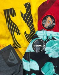 Branded surfwear shorts (1105)
