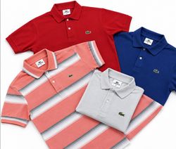 Premium polo Lacoste collar t shirts