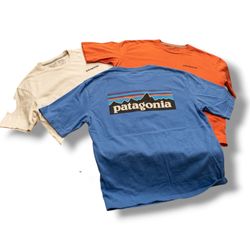 patagonia t-shirt
