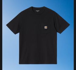 Carhartt authentic t shirt