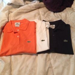 Lacoste polo Tshirt