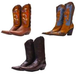 Y2K Cowboy Boots