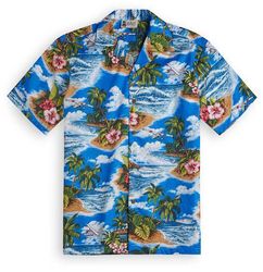 Hawai shirts