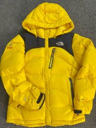 The nort face down puffer jacket with hood