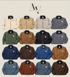 ZK Carhartt Detroit jacket VI
