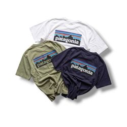Patagonia t shirt (171))