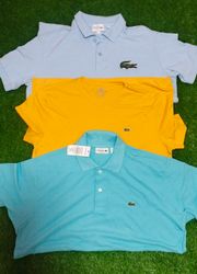 Polo Lacoste T-Shirts